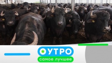 5 июня 2019 года 04.06.2019