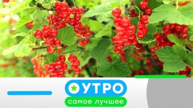 6 июля 2020 года 05.07.2020