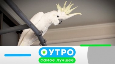 6 июня 2019 года 06.06.2019