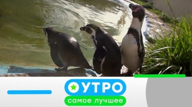 6 марта 2020 года 06.03.2020