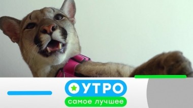 6 мая 2019 года 05.05.2019