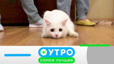 8 апреля 2020 года 08.04.2020