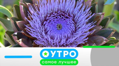 8 июля 2026 года 08.07.2026
