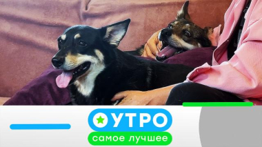 8 июня 2026 года 08.06.2026
