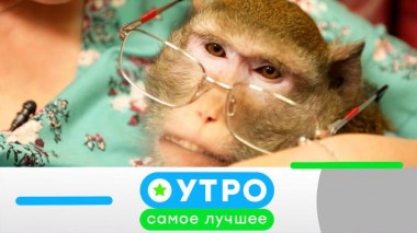 8 ноября 2023 года 08.11.2023