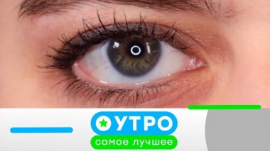 8 октября 2024 года 08.10.2024