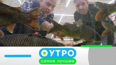 9 августа 2024 года 08.08.2024