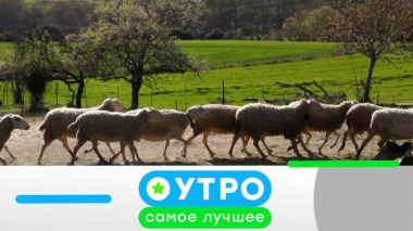 9 декабря 2025 года 09.12.2025