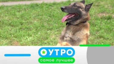 9 июля 2019 года 08.07.2019