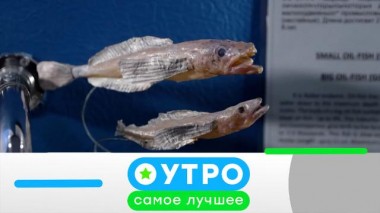 9 июня 2025 года 09.06.2025