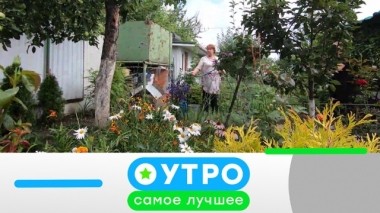 9 сентября 2019 года 09.09.2019