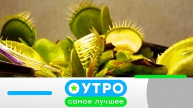 10 апреля 2023 года 10.04.2023