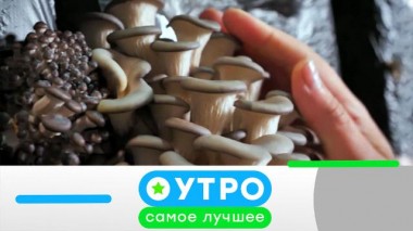 10 августа 2021 года 10.08.2021