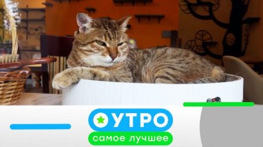 10 марта 2023 года 10.03.2023