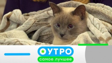 11 ноября 2021 года 11.11.2021