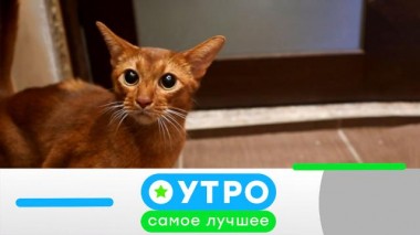 12 августа 2021 года 12.08.2021