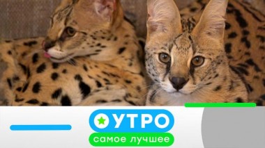 12 октября 2022 года 12.10.2022