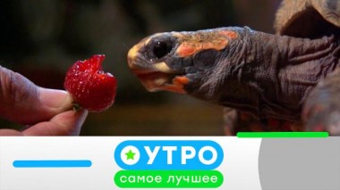 13 апреля 2021 года 13.04.2021