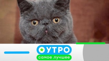 13 июля 2021 года 13.07.2021