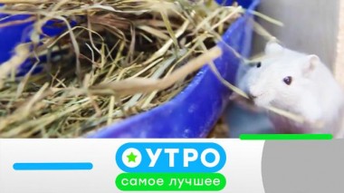 13 июня 2023 года 13.06.2023