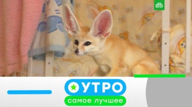 13 октября 2021 года 13.10.2021