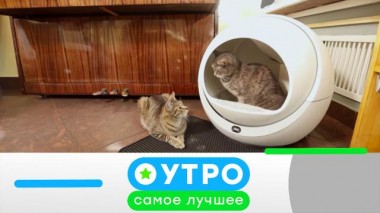 14 июля 2022 года 14.07.2022