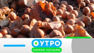 14 марта 2023 года 14.03.2023