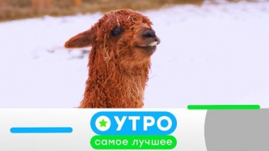 14 мая 2021 года 14.05.2021