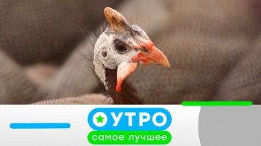 14 сентября 2023 года 14.09.2023