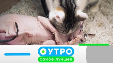 15 декабря 2020 года 15.12.2020