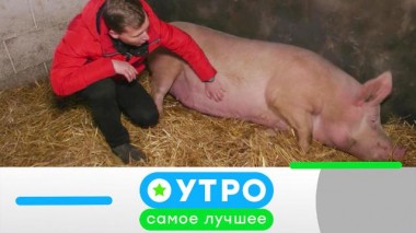 15 июня 2022 года 15.06.2022