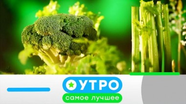 15 сентября 2021 года 15.09.2021