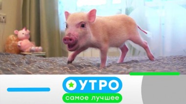 15 сентября 2022 года 15.09.2022