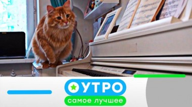 16 ноября 2022 года 16.11.2022