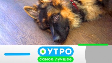 17 октября 2022 года 17.10.2022