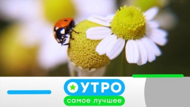 19 апреля 2021 года 19.04.2021