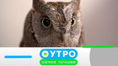 19 августа 2021 года 18.08.2021