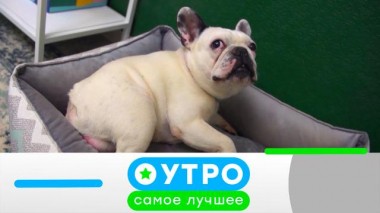 19 декабря 2022 года 19.12.2022