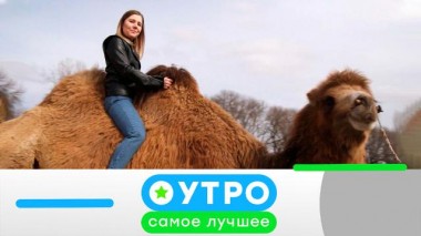 19 февраля 2021 года 19.02.2021