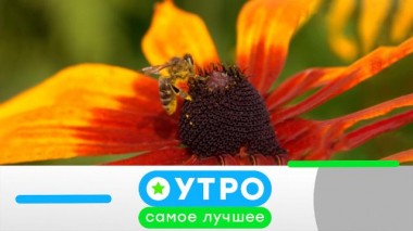 19 июня 2023 года 19.06.2023