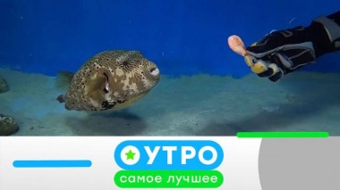 21 апреля 2021 года 20.04.2021