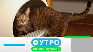 21 апреля 2022 года 21.04.2022