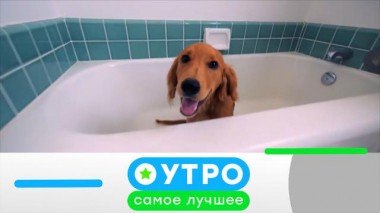 21 июня 2023 года 21.06.2023