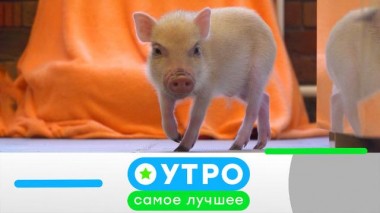 21 октября 2021 года 21.10.2021