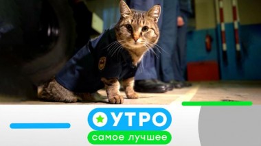 22 мая 2023 года 22.05.2023