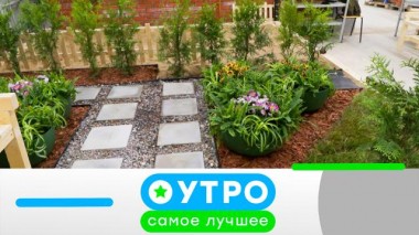 23 июня 2023 года 23.06.2023