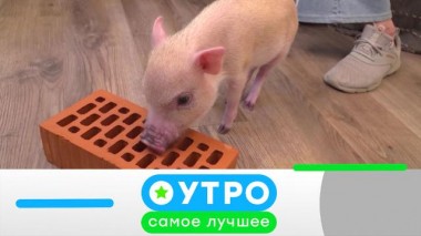 23 ноября 2021 года 23.11.2021