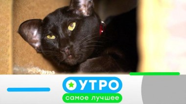 23 ноября 2022 года 23.11.2022