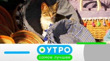 24 марта 2023 года 24.03.2023