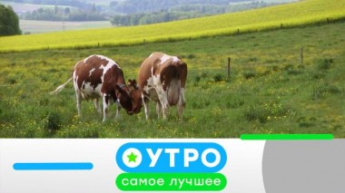 25 февраля 2021 года 25.02.2021